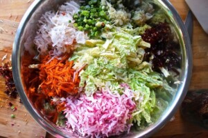 cabbage and carrots 